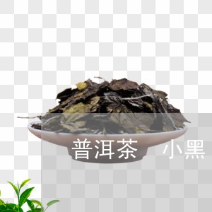 普洱茶 小黑/2023042821061